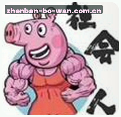 刘洋